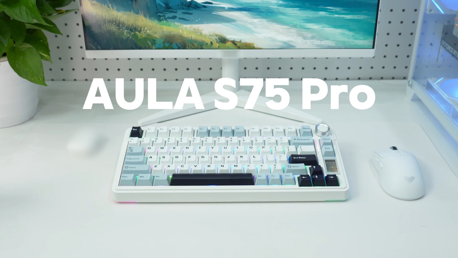 Aula S75 Pro