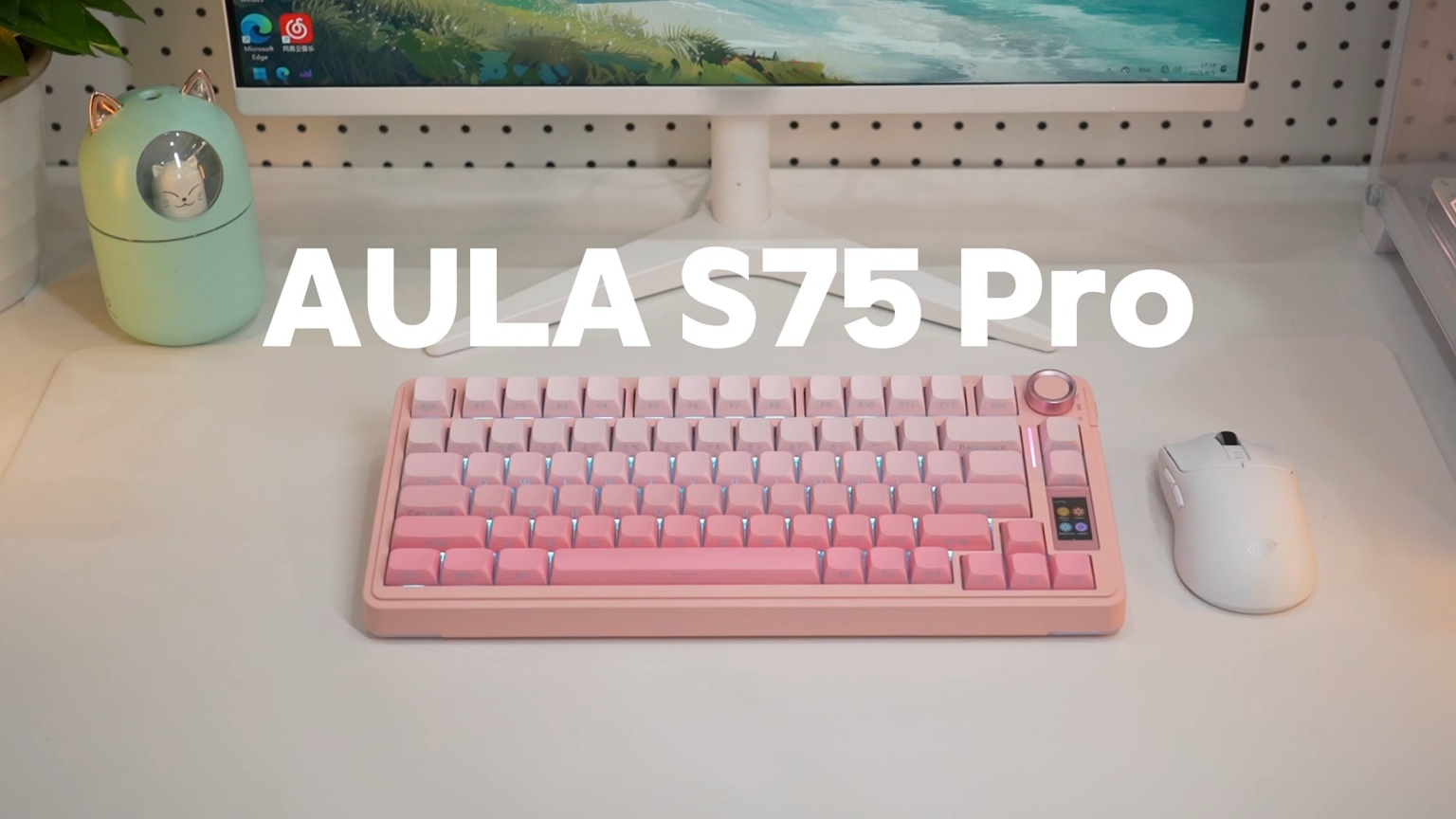 Aula S75 Pro
